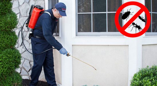 Yenifakılı Bit İlaçlama böcek ilaçlama ve haşere kontrolü — ilaclama-tr.com